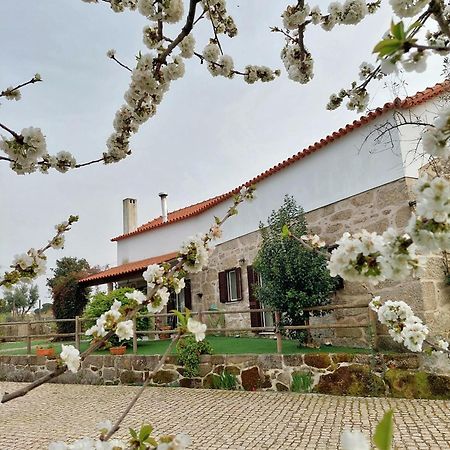 Вилла A Casa Do Soito Оливейра-ду-Ошпитал Экстерьер фото