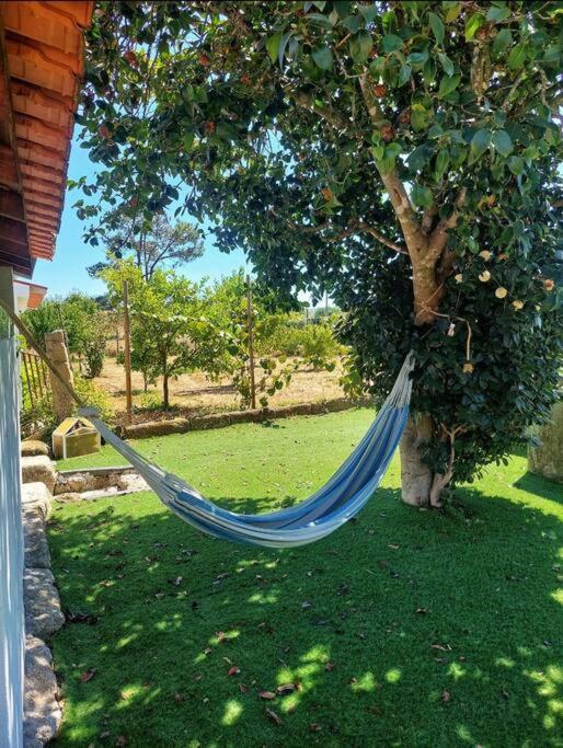 Вилла A Casa Do Soito Оливейра-ду-Ошпитал Экстерьер фото