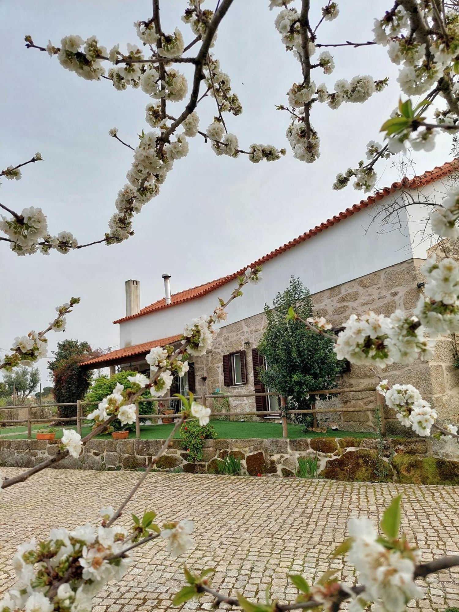 Вилла A Casa Do Soito Оливейра-ду-Ошпитал Экстерьер фото